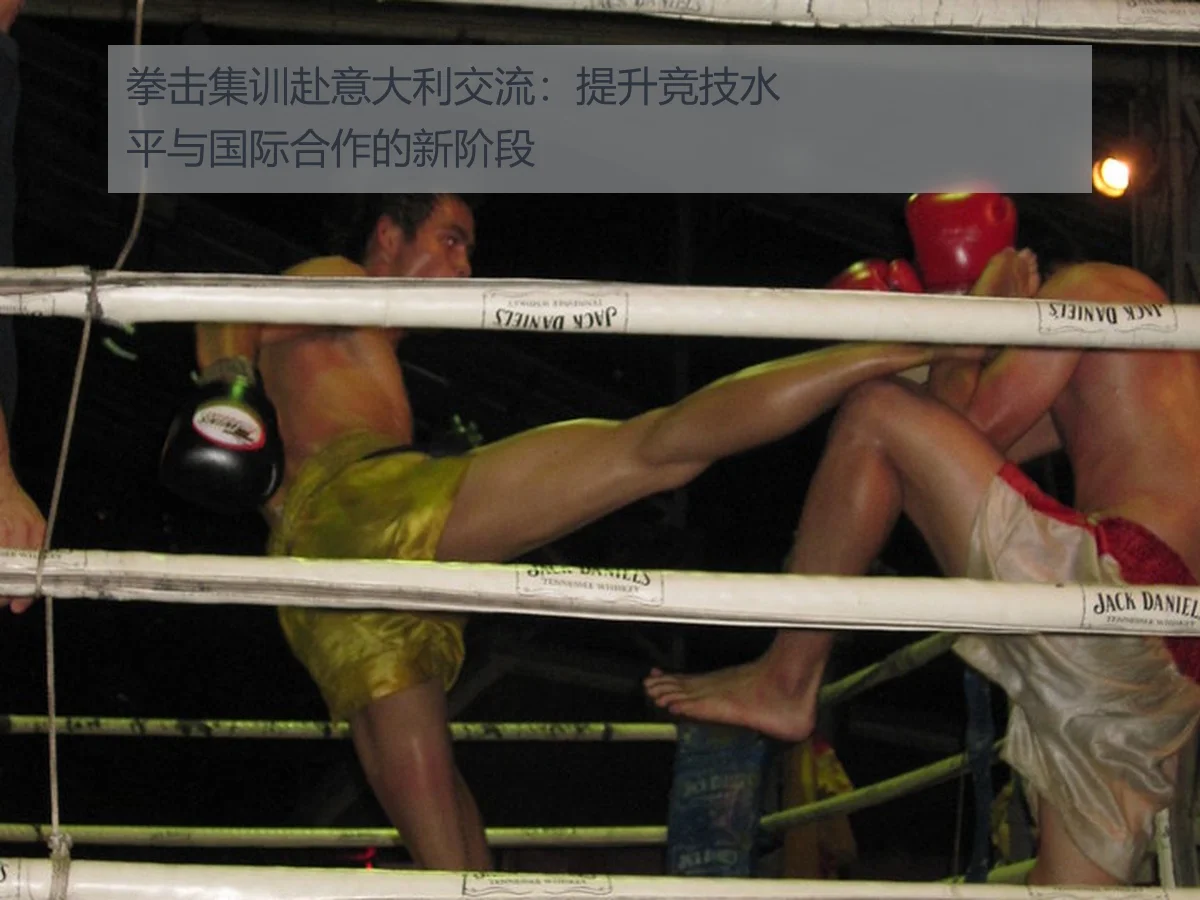 拳击集训赴意大利交流:提升竞技水平与国际合作的新阶段